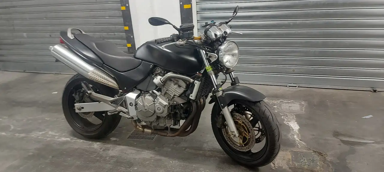 Honda Hornet