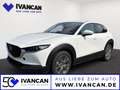 Mazda CX-30 5WGN 2.0L e-SKYACTIV X 186ps 6MT FWD Exclusive-lin Weiß - thumbnail 1