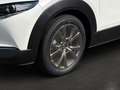 Mazda CX-30 5WGN 2.0L e-SKYACTIV X 186ps 6MT FWD Exclusive-lin Weiß - thumbnail 6