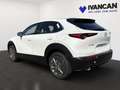 Mazda CX-30 5WGN 2.0L e-SKYACTIV X 186ps 6MT FWD Exclusive-lin Weiß - thumbnail 4