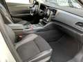 Renault Talisman Kombi 1.3 TCe 160 BUSINESS Automatik Weiß - thumbnail 8