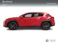 Lexus UX 250h 2.0 Premium Red - thumbnail 3