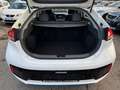 Hyundai IONIQ Ioniq Trend Benzin Hybrid Aut Kamera Weiß - thumbnail 26