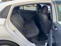 Hyundai IONIQ Ioniq Trend Benzin Hybrid Aut Kamera Weiß - thumbnail 24