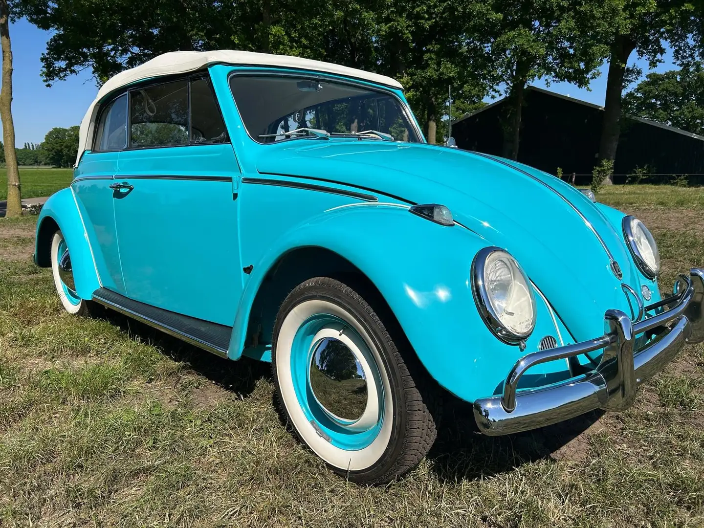 Volkswagen Käfer cabrio 1962 restauriert kevermobiel Albastru - 1