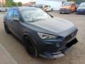 CUPRA Formentor 2.0 TSI NAVI SHZ LED ACC 360° KAMERA Blau - thumbnail 2