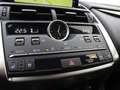 Lexus NX 300 NX Hybrid 4WD Luxury Bianco - thumbnail 21
