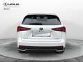 Lexus NX 300 NX Hybrid 4WD Luxury Bianco - thumbnail 6