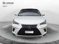 Lexus NX 300 NX Hybrid 4WD Luxury Bianco - thumbnail 2