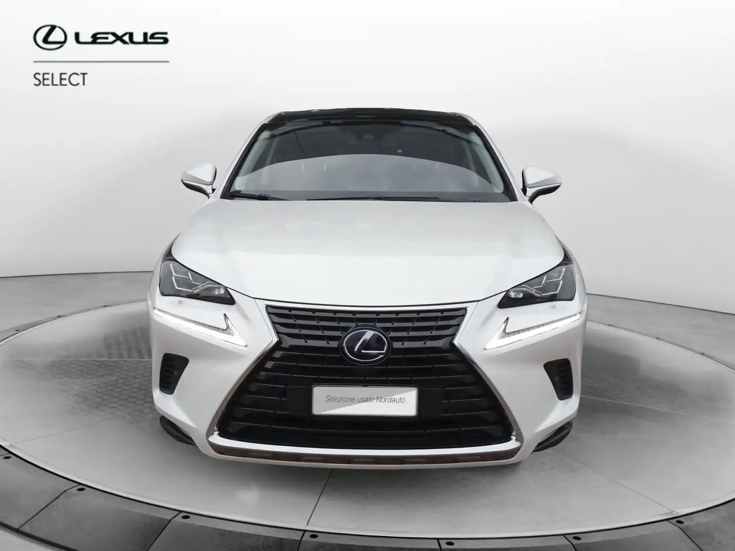 Lexus NX 300 NX Hybrid 4WD Luxury Bianco - 2