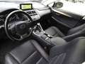 Lexus NX 300 NX Hybrid 4WD Luxury Bianco - thumbnail 8