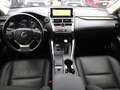 Lexus NX 300 NX Hybrid 4WD Luxury Bianco - thumbnail 12