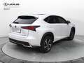 Lexus NX 300 NX Hybrid 4WD Luxury Bianco - thumbnail 7