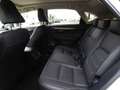 Lexus NX 300 NX Hybrid 4WD Luxury Bianco - thumbnail 10