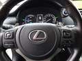 Lexus NX 300 NX Hybrid 4WD Luxury Bianco - thumbnail 15