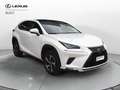 Lexus NX 300 NX Hybrid 4WD Luxury Bianco - thumbnail 3