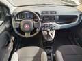 Fiat Panda 1.0 FireFly S&S Hybrid - thumbnail 12