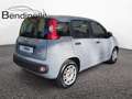 Fiat Panda 1.0 FireFly S&S Hybrid - thumbnail 5