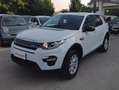 Land Rover Discovery Sport Discovery Sport I 2015 2.0 td4 HSE awd 150cv my18 Blanc - thumbnail 5