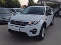 Land Rover Discovery Sport Discovery Sport I 2015 2.0 td4 HSE awd 150cv my18 Blanc - thumbnail 4