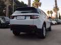 Land Rover Discovery Sport Discovery Sport I 2015 2.0 td4 HSE awd 150cv my18 Blanc - thumbnail 10