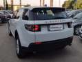 Land Rover Discovery Sport Discovery Sport I 2015 2.0 td4 HSE awd 150cv my18 Blanc - thumbnail 14