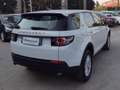 Land Rover Discovery Sport Discovery Sport I 2015 2.0 td4 HSE awd 150cv my18 Blanc - thumbnail 11