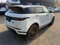Land Rover Range Rover Evoque R-Dynamic SE Pano 360 Weiß - thumbnail 11