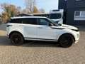 Land Rover Range Rover Evoque R-Dynamic SE Pano 360 Weiß - thumbnail 10