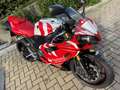 Yamaha YZF 1000 Santander Bianco - thumbnail 13
