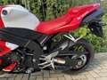 Yamaha YZF 1000 Santander Bianco - thumbnail 3