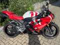 Yamaha YZF 1000 Santander Bianco - thumbnail 12