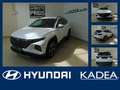 Hyundai TUCSON 1.6 Navi,Kamera,Lenk+Sitzheizung,Keyless Weiß - thumbnail 1