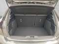 Ford Focus ST-Line / 125 PS / LED / RFK / Grau - thumbnail 7
