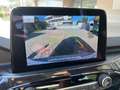 Ford Kuga Kuga 2.5 full hybrid ST-Line 2wd 190cv cvt Grigio - thumbnail 15