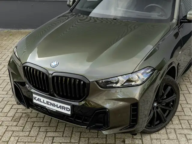 BMW X5 view 10