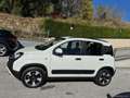 Fiat Panda Cross 1.0 FireFly S&S Hybrid Bianco - thumbnail 7