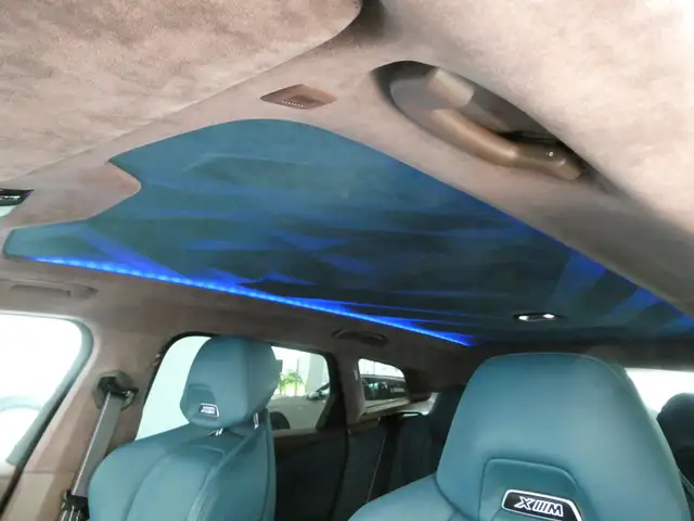 BMW XM 50e Ansicht 11