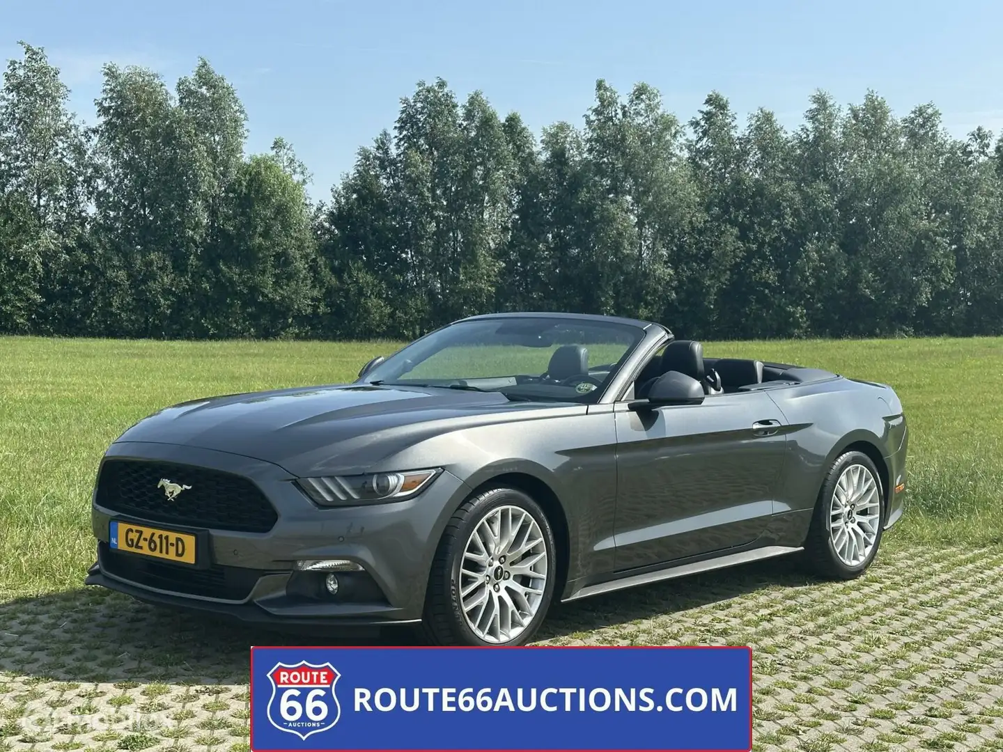 Ford Mustang Cabriolet 2015 | Route 66 auctions Gris - 1