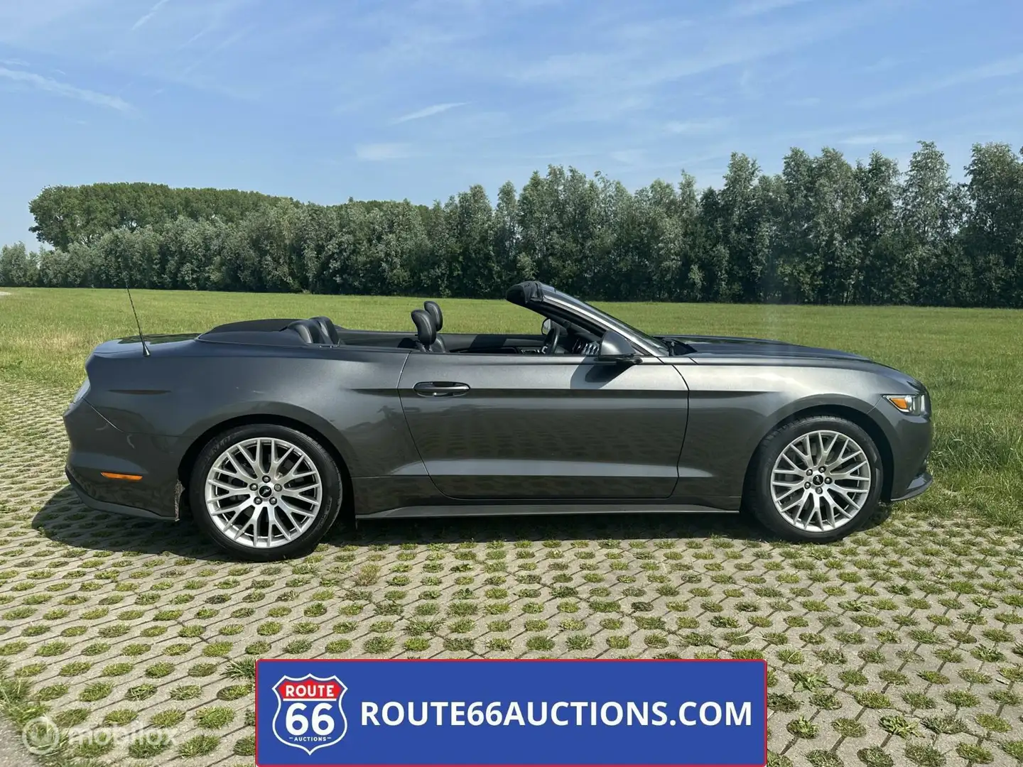 Ford Mustang Cabriolet 2015 | Route 66 auctions Gris - 2