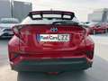 Toyota C-HR 125H Advance Rojo - thumbnail 6