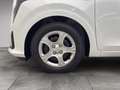 Kia Picanto TITAN 1,0 GDI MT5 67 MY26 Weiß - thumbnail 6