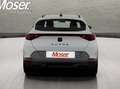 CUPRA Formentor 2.0 tsi 4drive 190cv dsg tetto apr., cerchi 19" Bianco - thumbnail 3