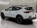 CUPRA Formentor 2.0 tsi 4drive 190cv dsg tetto apr., cerchi 19" bijela - thumbnail 5