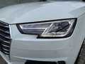 Audi A4 A4 Avant 2,0 TDI quattro*3xS-line*S-tronic*Virtual Weiß - thumbnail 17