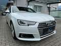 Audi A4 A4 Avant 2,0 TDI quattro*3xS-line*S-tronic*Virtual Weiß - thumbnail 12