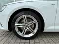 Audi A4 A4 Avant 2,0 TDI quattro*3xS-line*S-tronic*Virtual Weiß - thumbnail 16
