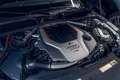 Audi RS5 Sportback 2.9 TFSI quattro tiptronic 331kW Gris - thumbnail 22