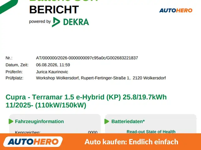 Cupra Terramar view 10