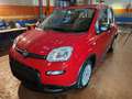 Fiat Panda 1.0 Hybrid 70cv Radio Bluetooth 36 Rate da 177,95 Rouge - thumbnail 1